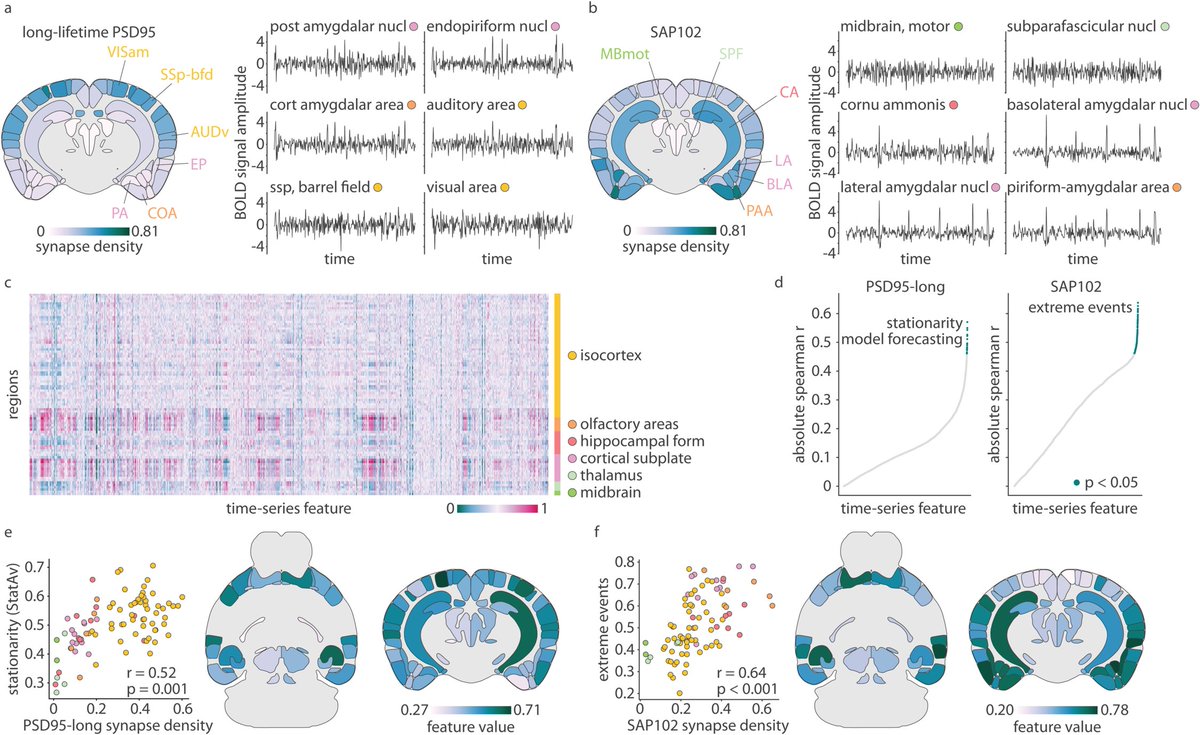 Bratislav Misic tweet media