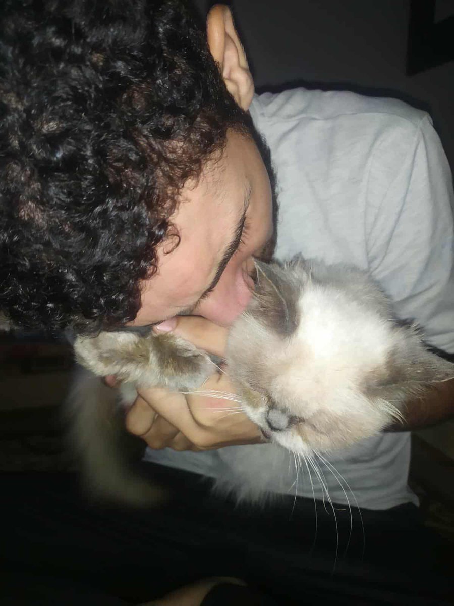 abod in Gaza🇵🇸 tweet media