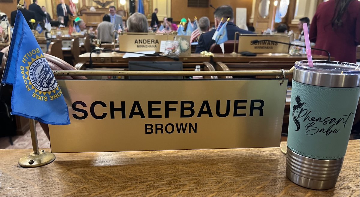 Rep. Brandei Schaefbauer tweet media