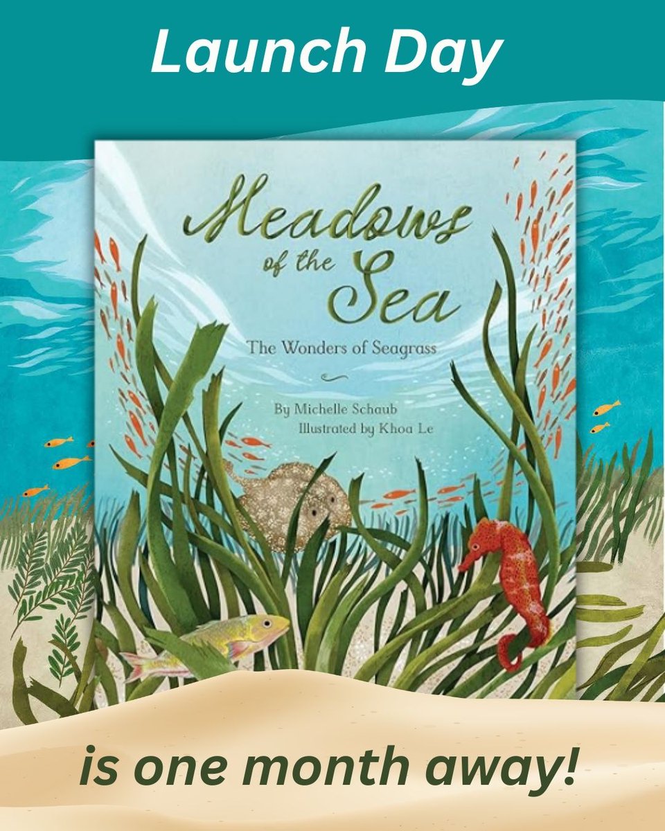 Michelle Schaub tweet media