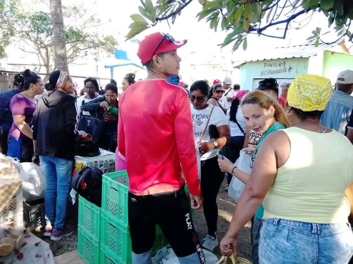 DeibiCruz2925's tweet photo. #PoderPopularAmancio🇨🇺
#FMC_Amancio 🇨🇺
Hoy realizamos una feria agropecuaria y comercial para nuestro pueblo, momentos complejos, pero se impone el hacer y hacer por nuestra gente. Si se puede. https://t.co/4pNUIogFj7