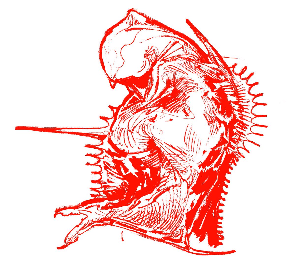 𓃻 MIMP.{robin} 𓃻 tweet media