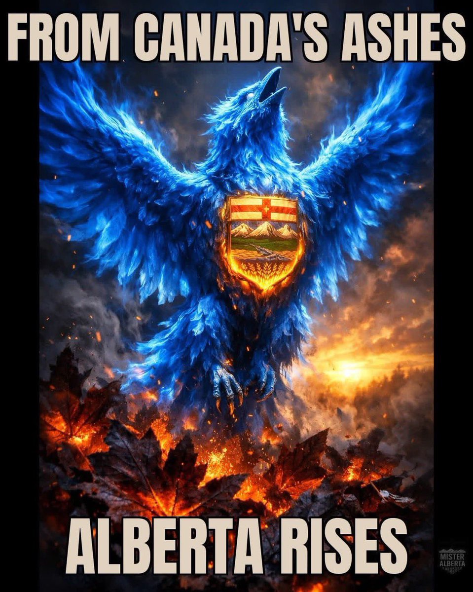 Working Dog tweet media