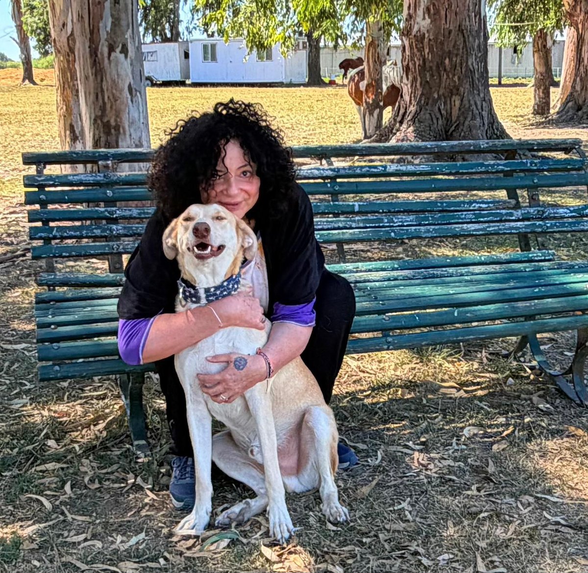 ACMA CABALLOS tweet media