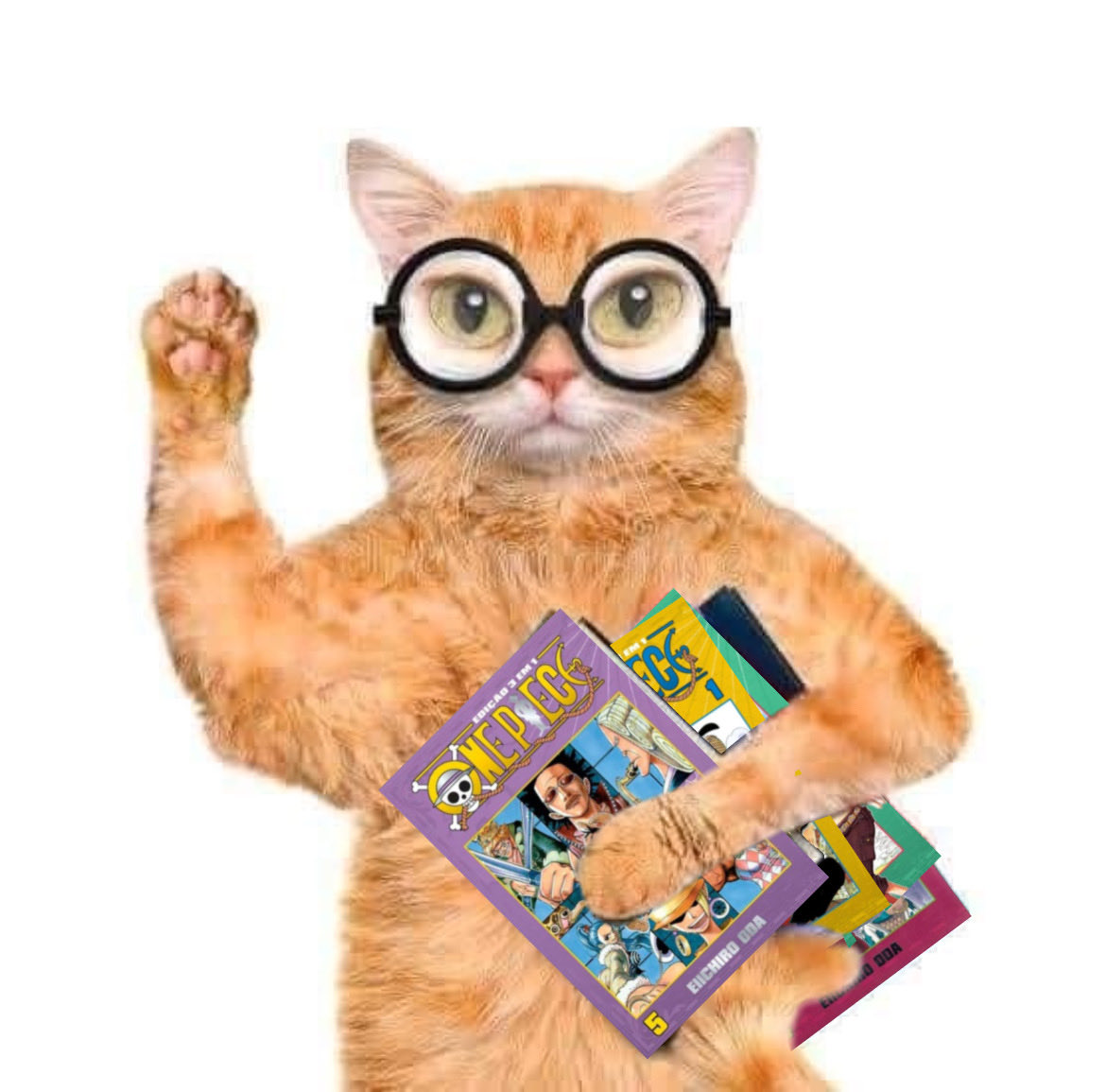 my friends who only watch the live action are asking me so many questions, i feel like this