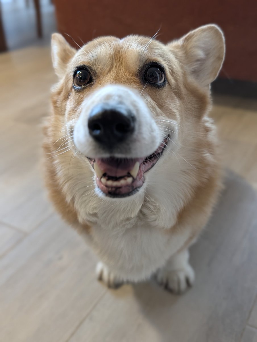 Divi by Zero tweet media