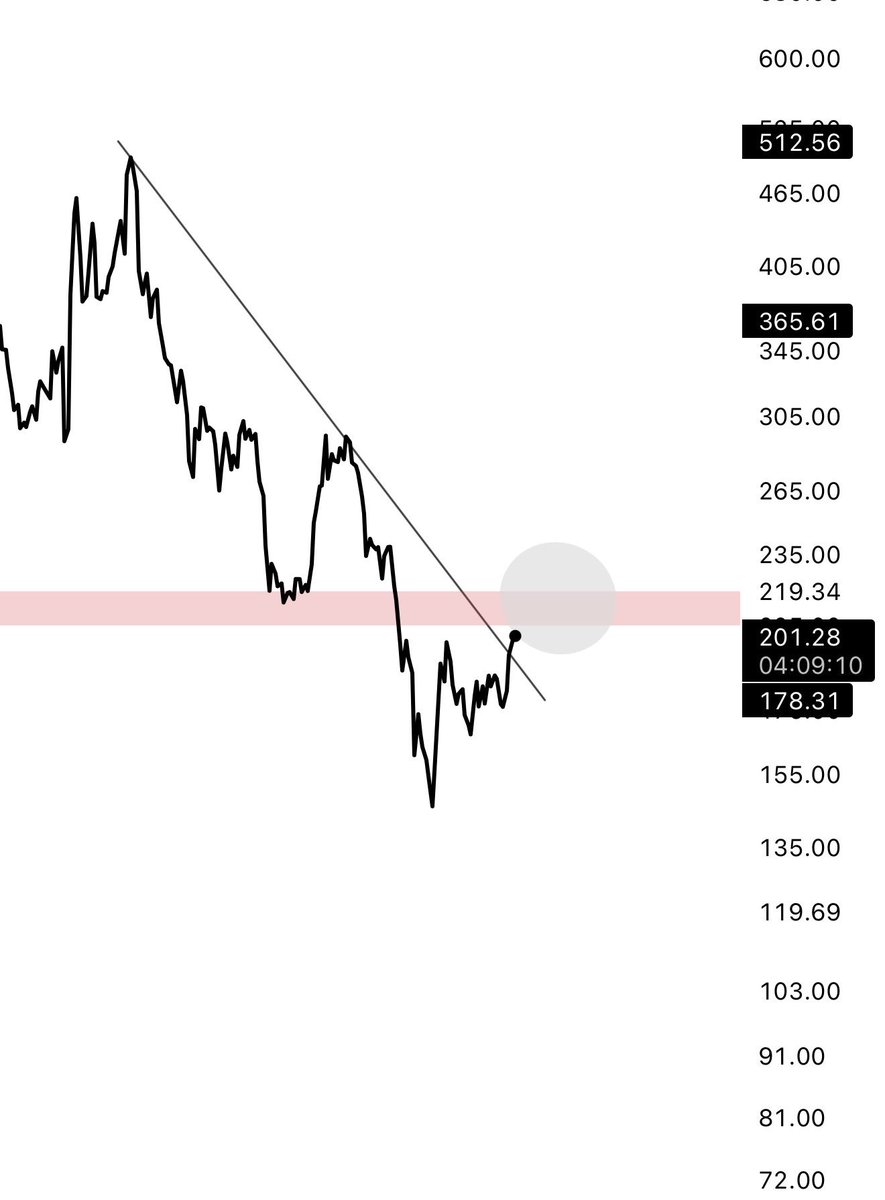 DonaX₿τ tweet media