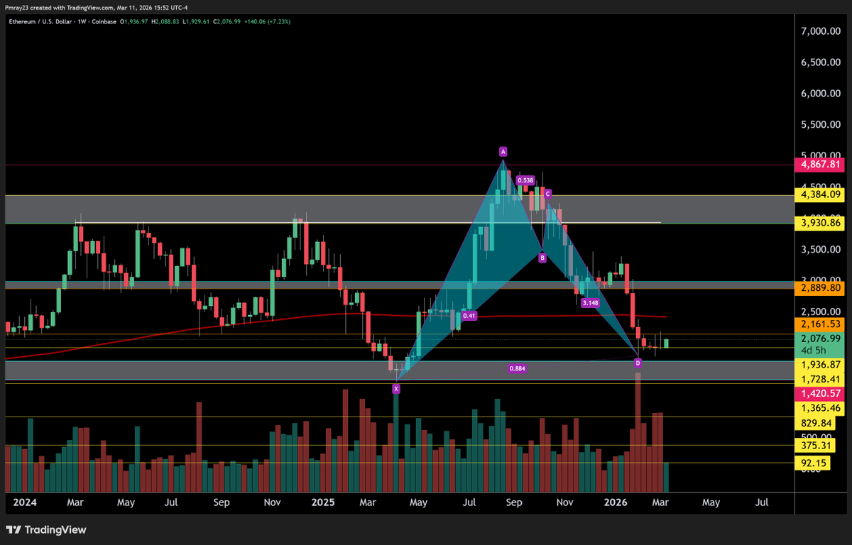 Mitch Ray tweet media