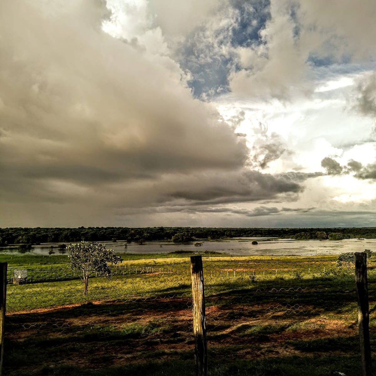 La Primavera Pasion Ganadera tweet media