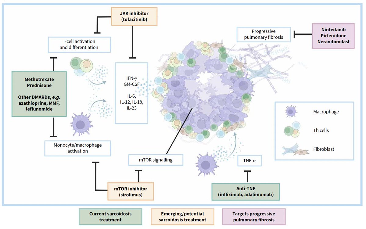 EPID_Separ tweet media