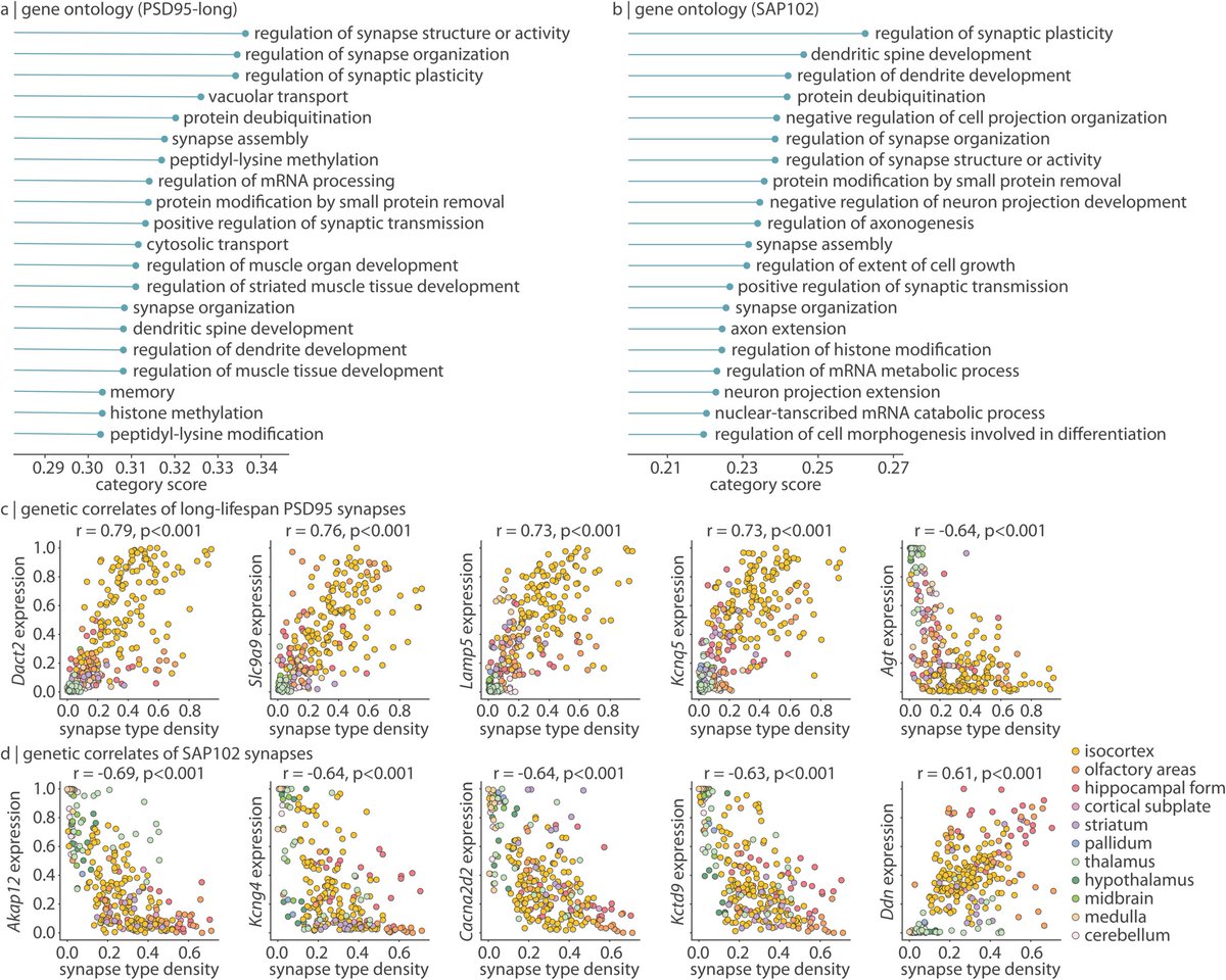 Bratislav Misic tweet media