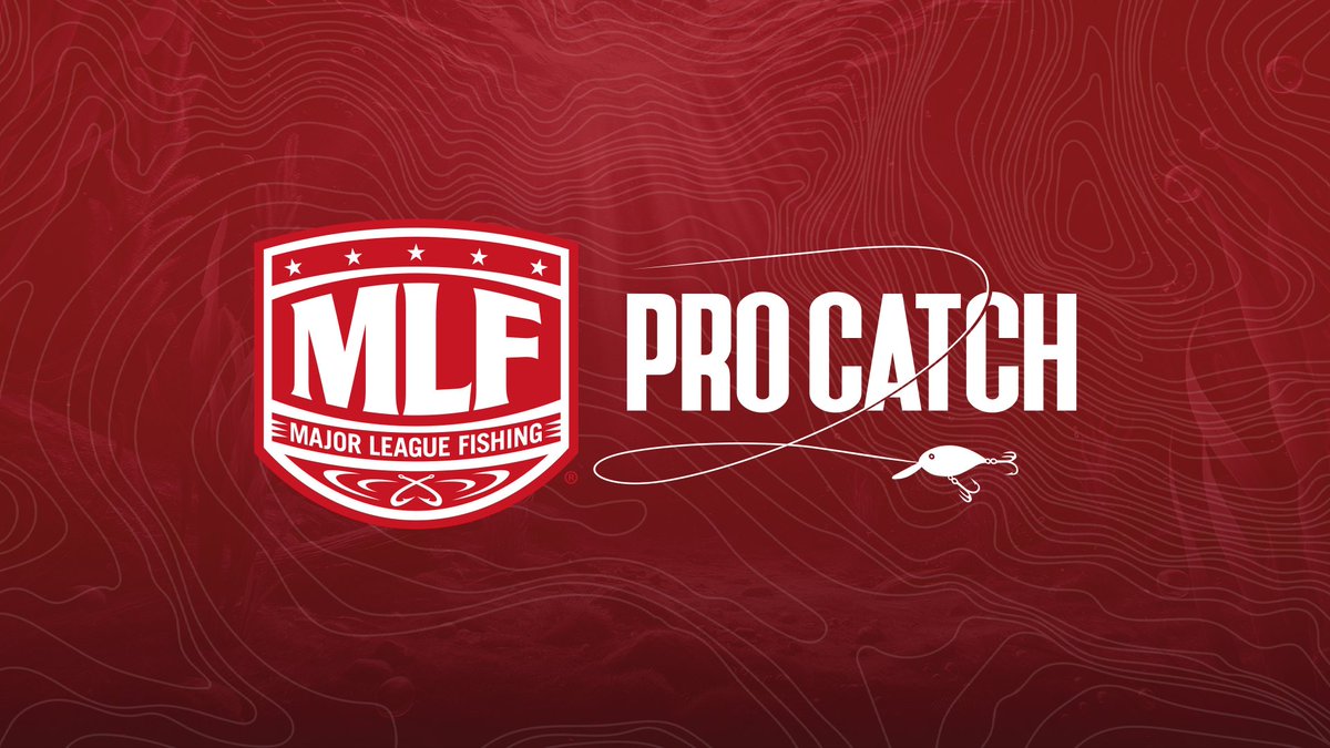 MLFProCatch tweet media