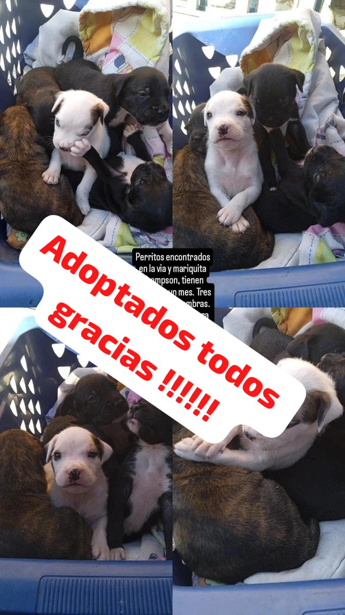 Laly 🇦🇷 tweet media