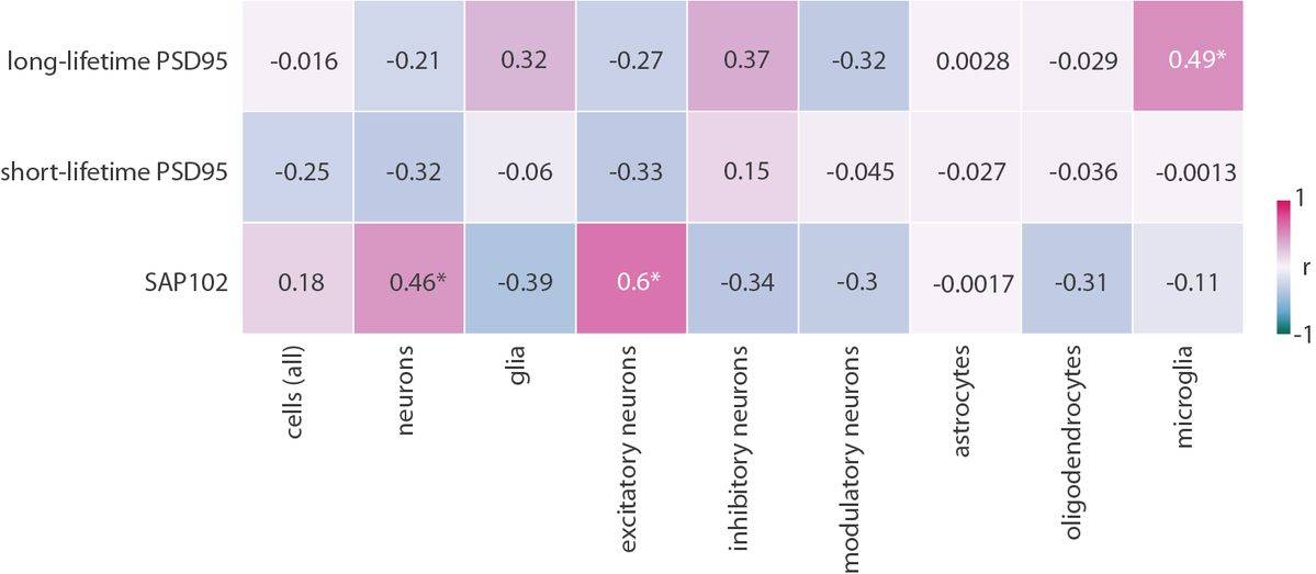 Bratislav Misic tweet media