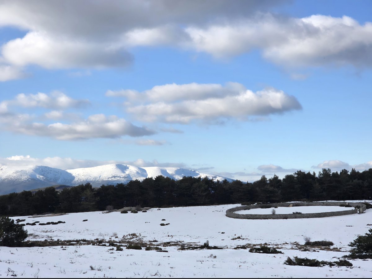 CanenciaEnFotos's tweet photo. Aguanta la nieve en el "Prao Toril" de Canencia. Vistas hacia los macizos de Ayllón y del Nevero. Marzo 2026. https://t.co/jGDSQEtbHN