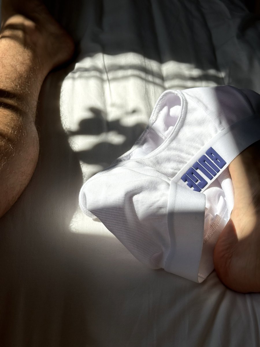 project.bulge (@PROJECTBULGE) / Posts / X
