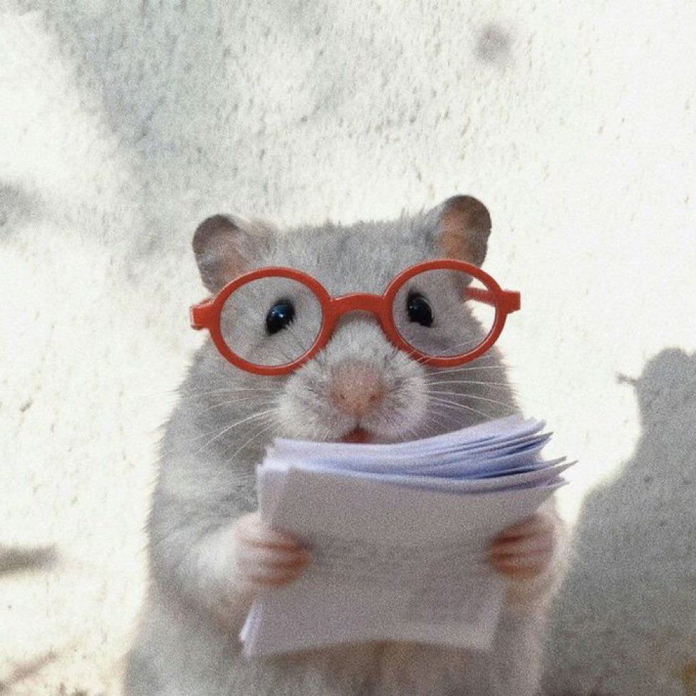 정다남 tweet media