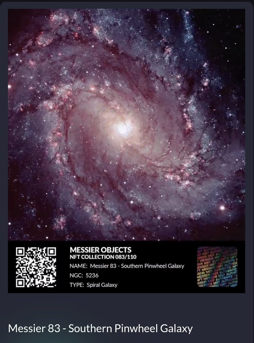 Herr Rübe tweet media