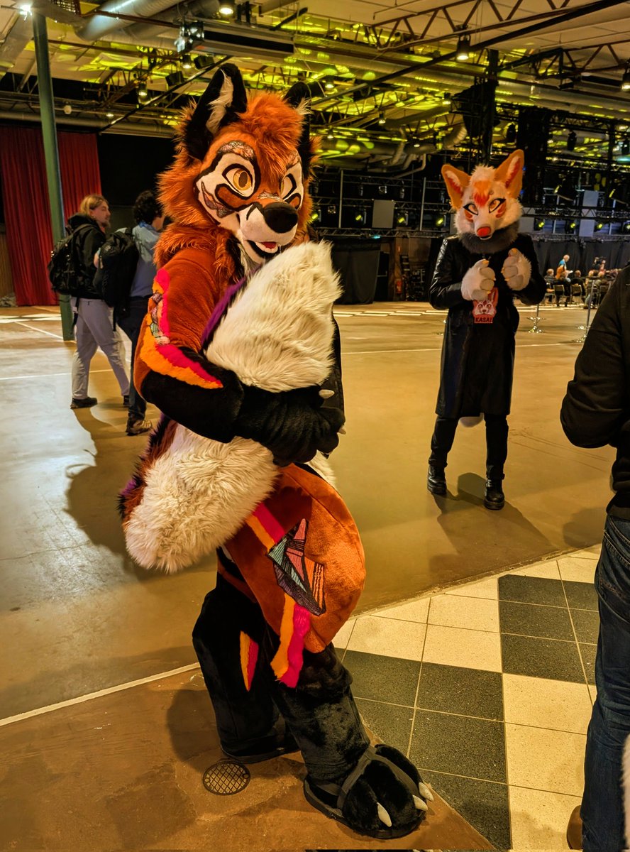 KurtdeVos 🇬🇧🦊 tweet media