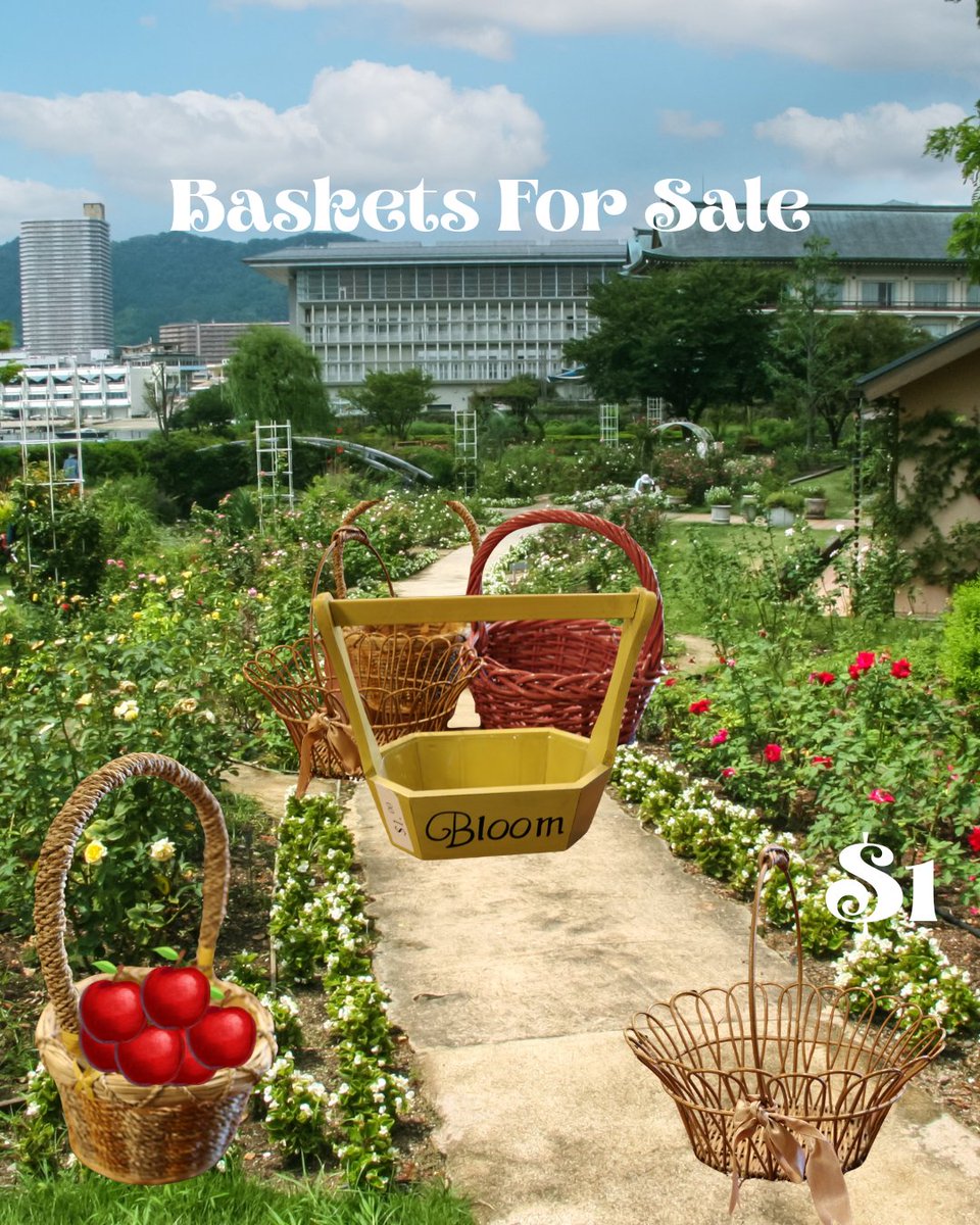 CSU Surplus Property tweet media