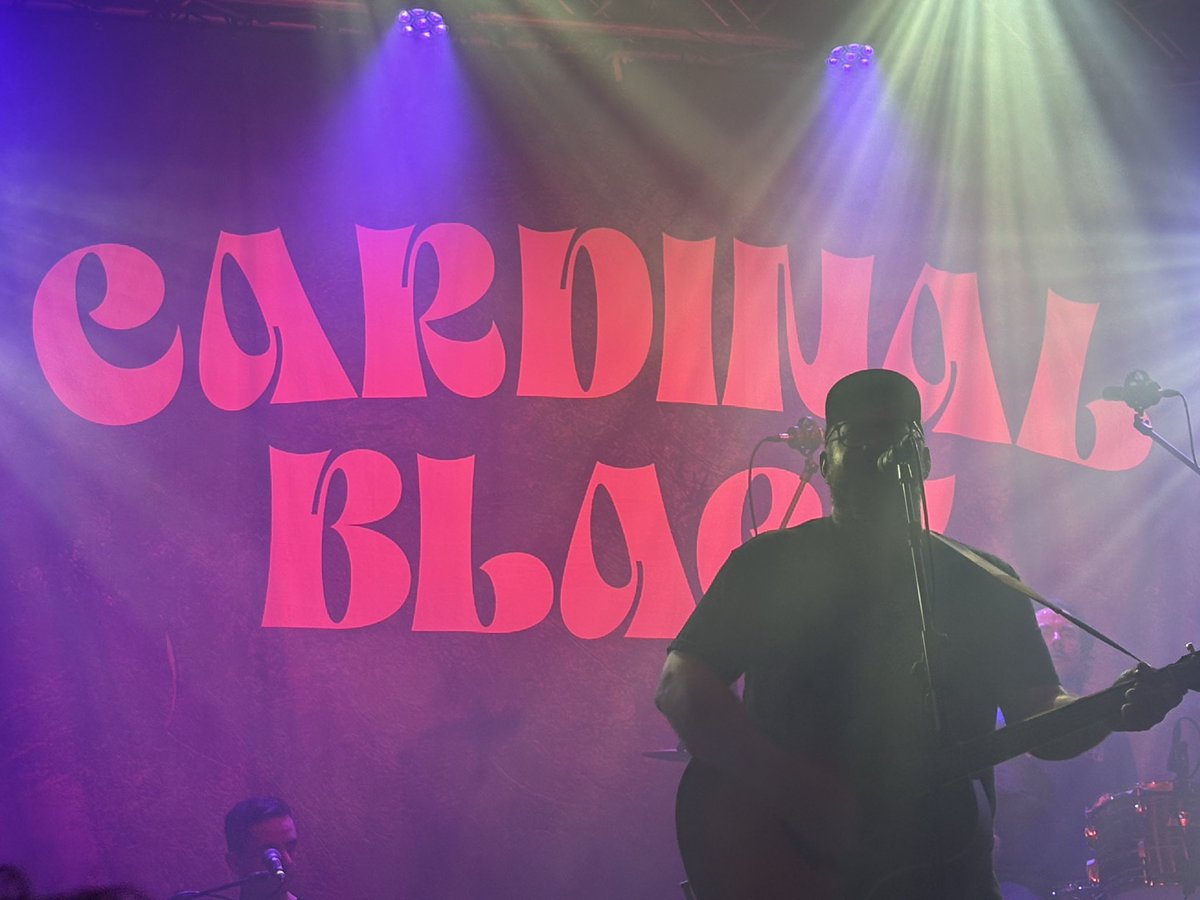 theArcheteer©  tweet media