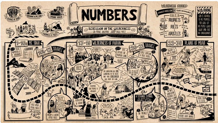 Paolalighthouse's tweet photo. DAY  070
NUMBERS HAS ENDED AND NOW BEGINNING DEUTERONOMY
ROOTED IN THE WORD - THE BIBLE RECAP
https://t.co/LN3CLfEz0f

BIBLEPROJECT GUIDE - THE BOOK OF NUMBERS
https://t.co/LCCyBn70jL

BOOK OF NUMBERS SUMMARY: A COMPLETE ANIMATED OVERVIEW
https://t.co/Owhh48q1aM https://t.co/8XzUTSYTAV