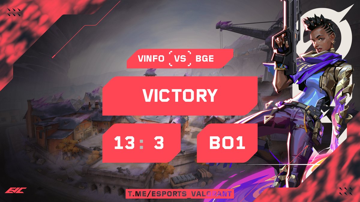 VINFO Esports tweet media