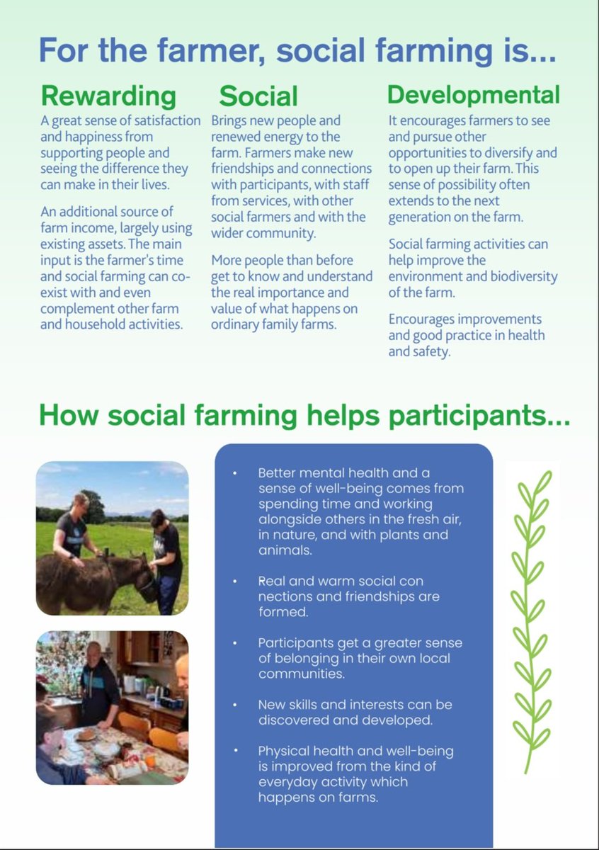 John Paul O'Shea TD tweet media