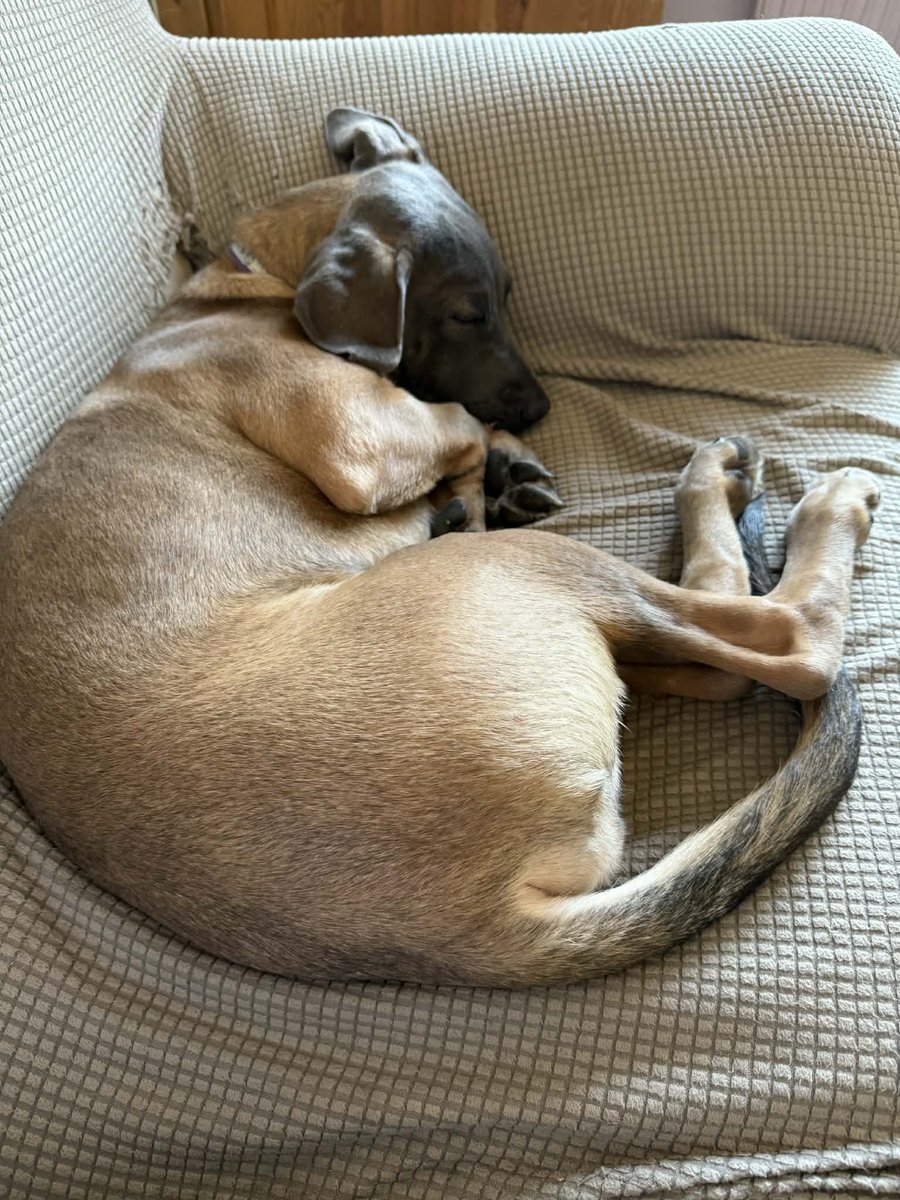 chris towers tweet media