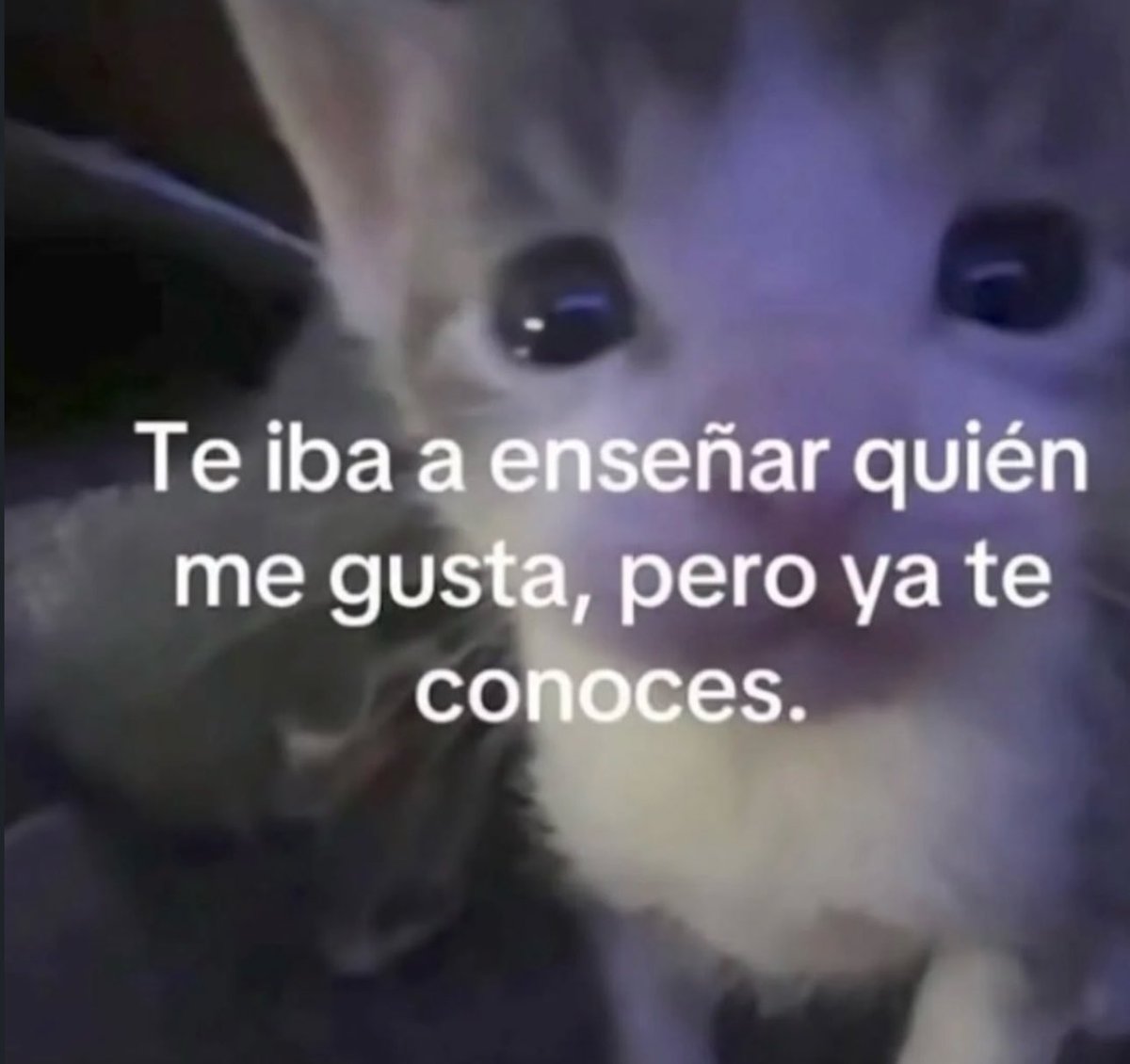 piña sin pizza (@skereunpesado) on Twitter photo 