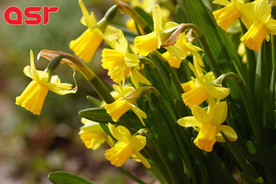 Alberta Sign Rentals tweet media