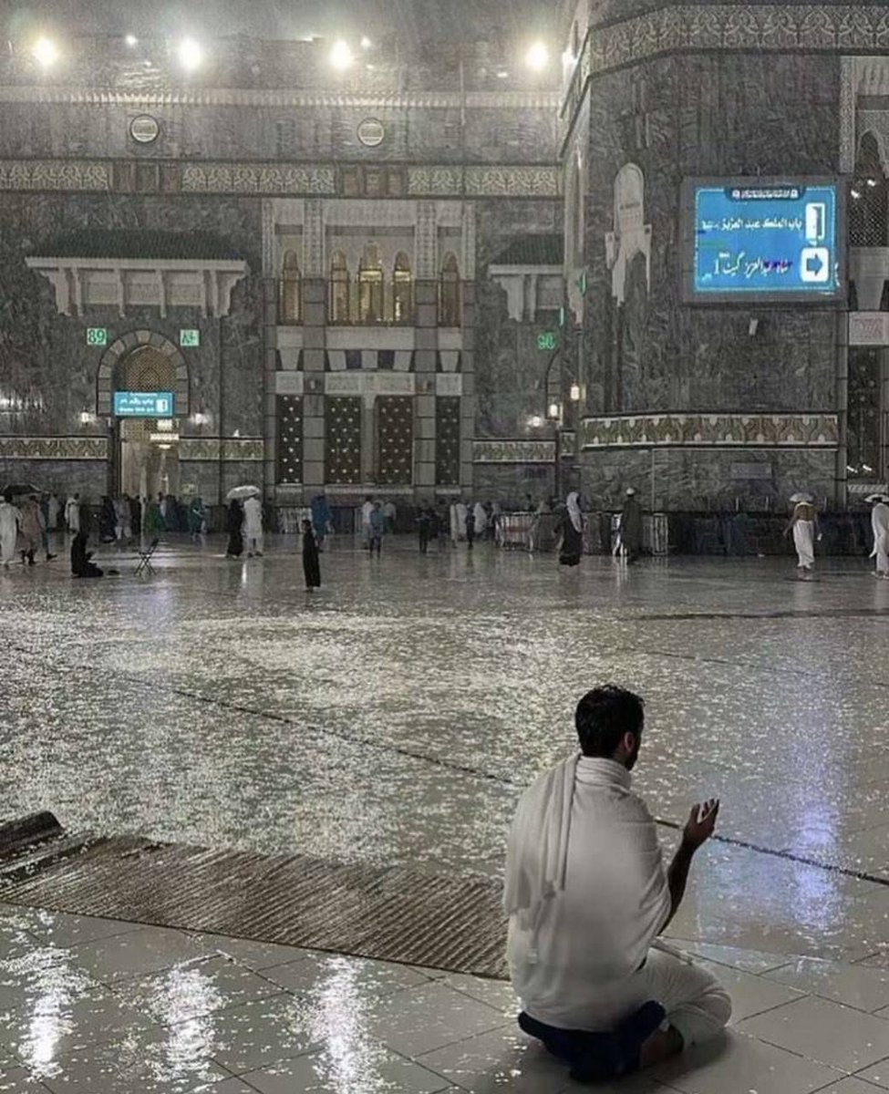 سَـاره . tweet media