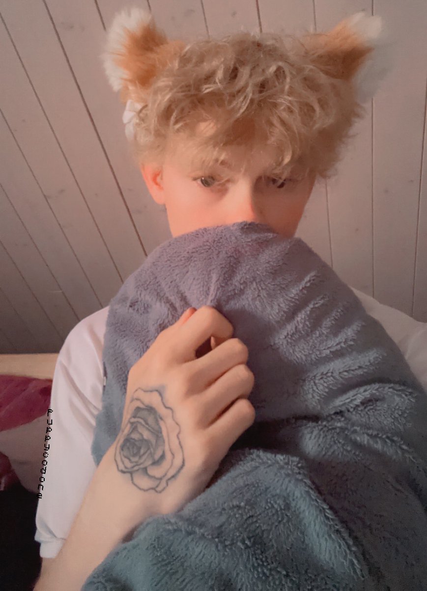 puppycodone🐾✨ tweet media