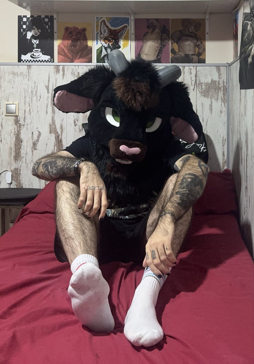 Nick The Goat 🔜 Furrvu/Ibercon tweet media