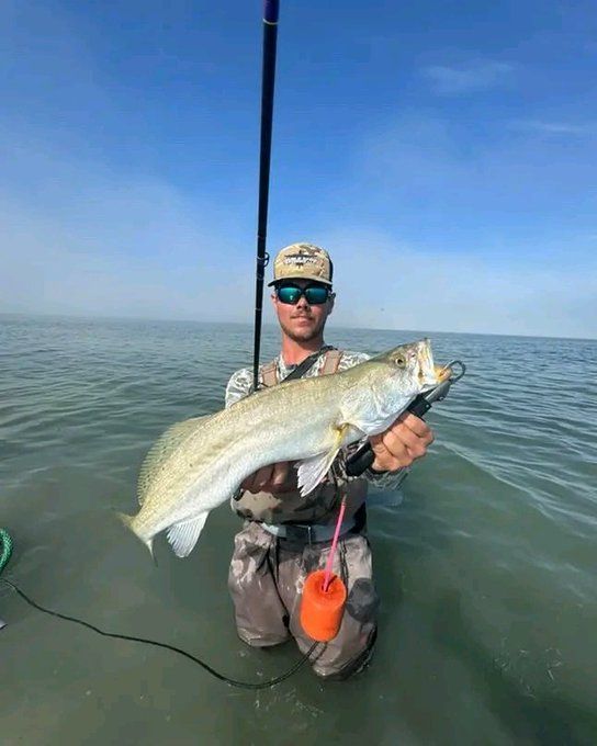 The Salty Dog Galveston tweet media