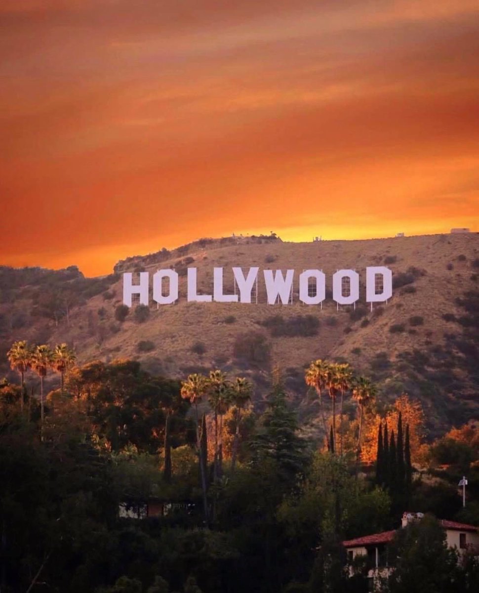 Bull Theory tweet media