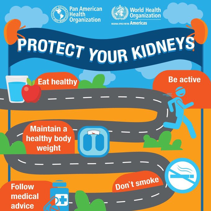 Simple steps can help protect your kidneys:

⚖️ Maintain a healthy body weight
🥗 Eat a nutritious diet
🏃🏽‍♀️ Be active
💧 Drink water
🚭 Don't smoke
❤️ Control your blood pressure
💊 Don't self-medicate

Thursday is #WorldKidneyDay: paho.org/en/topics/chro…

via <a href="/pahowho/">PAHO/WHO</a>