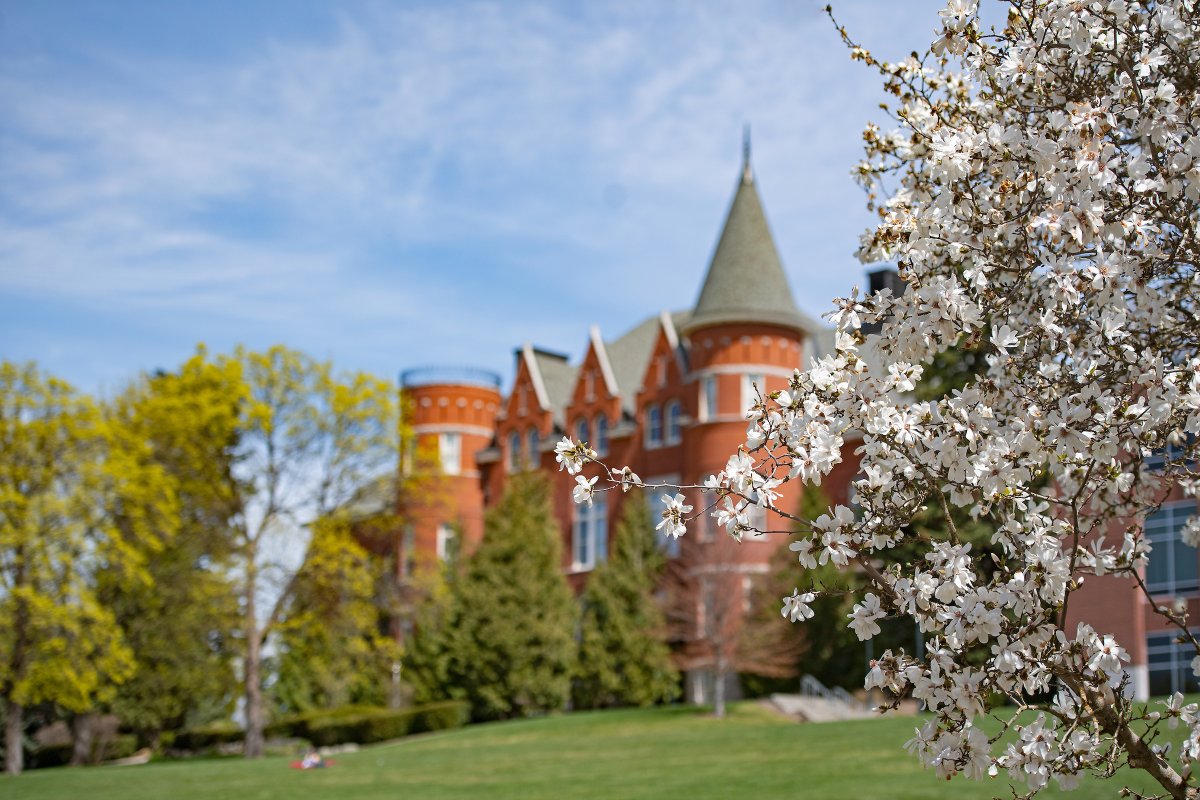 WSU Pullman tweet media