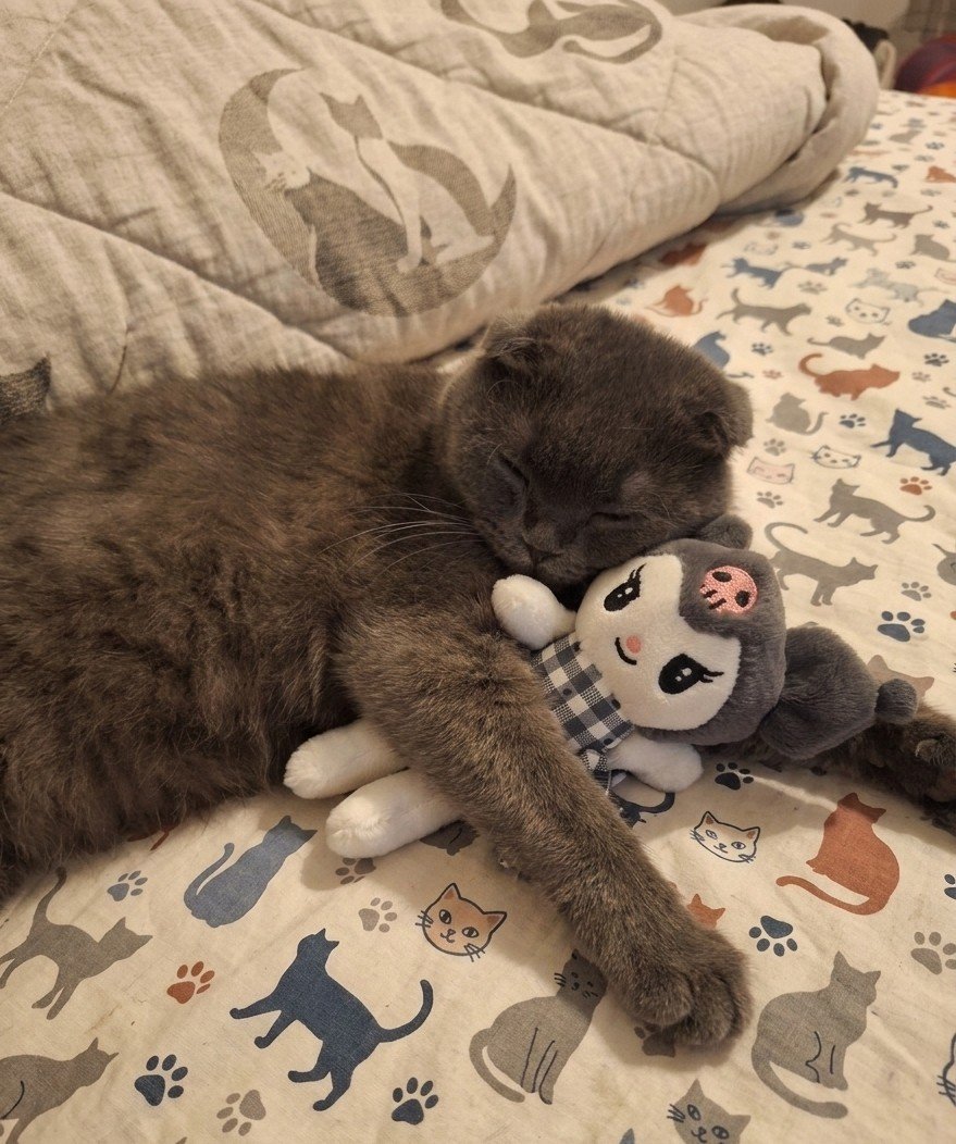 julidesiz uyumamisdim