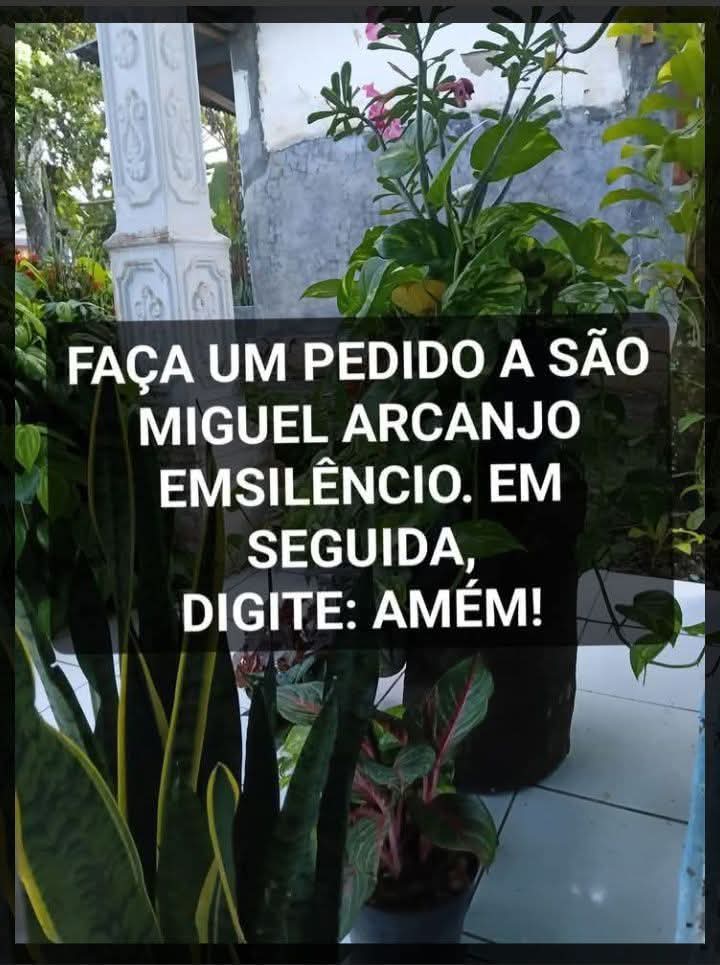 Prof. Paullo tweet media