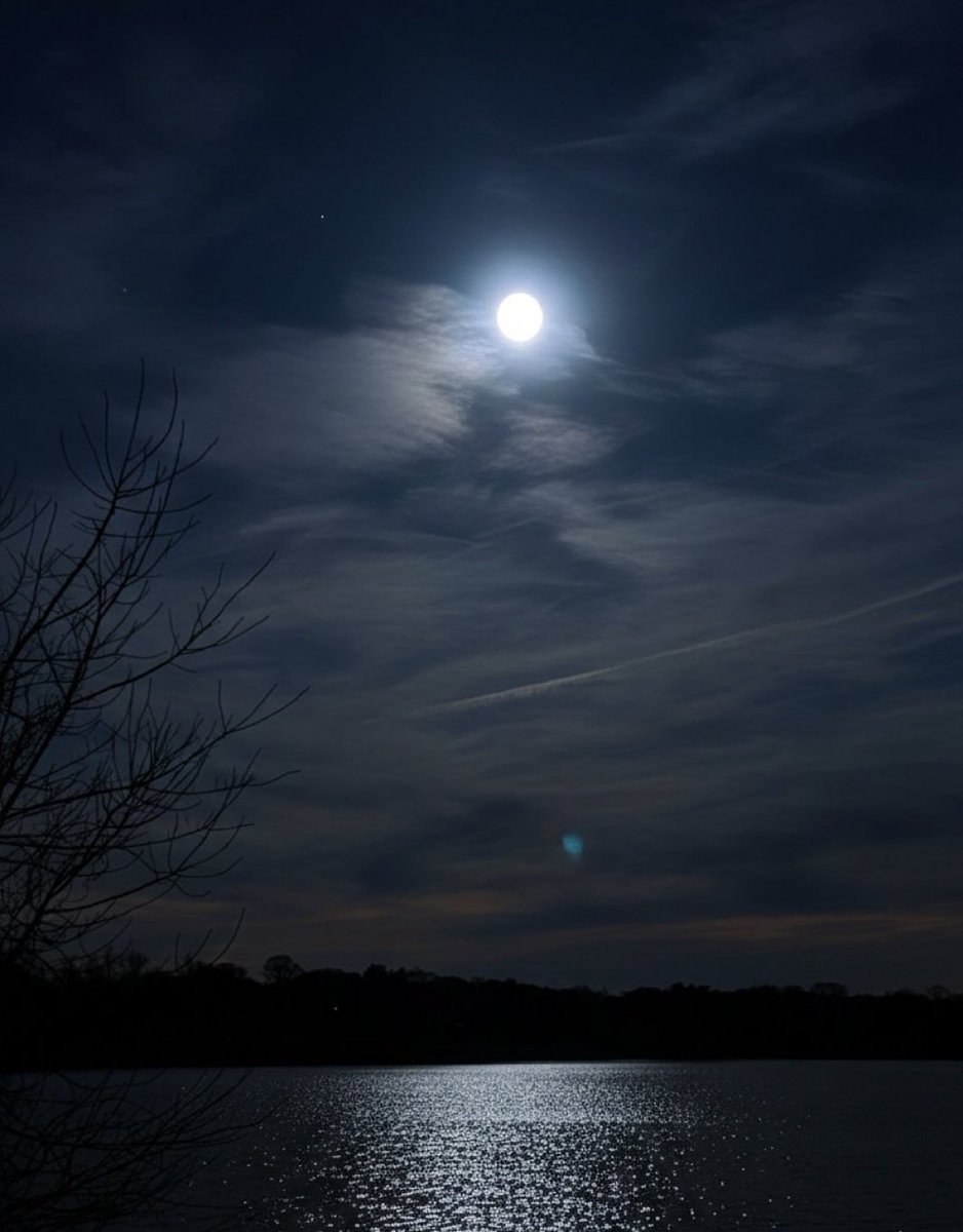 MOON LOVER tweet media