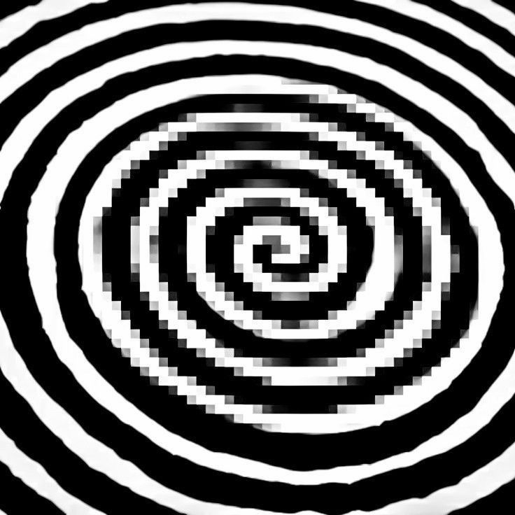 yoshiki of shtwt tweet media