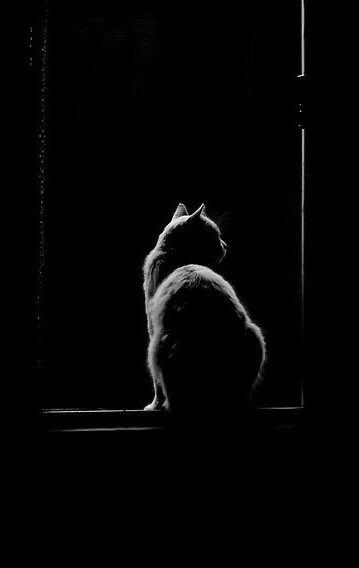 AhmetDuranHergn's tweet image. Off line...