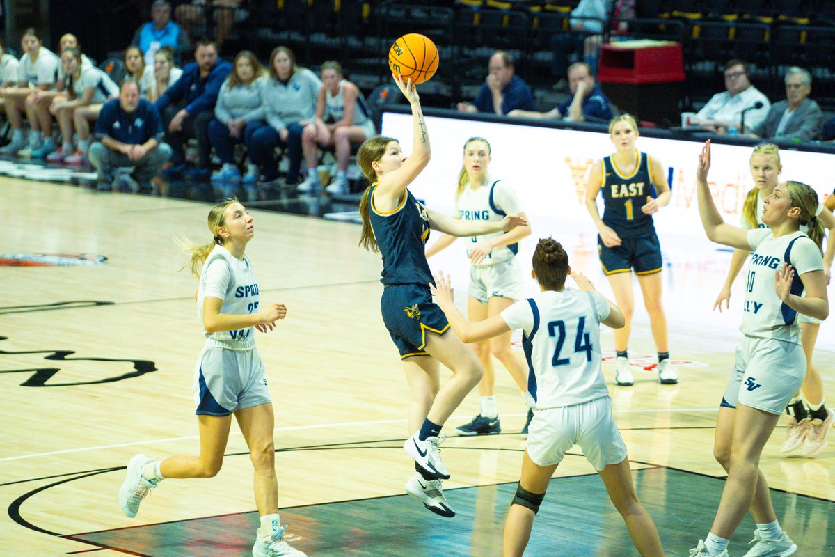 Quite the buzz: Bees edge Spring Valley, 54-52:

wvmetronews.com/2026/03/11/qui…

#wvgirlsbb