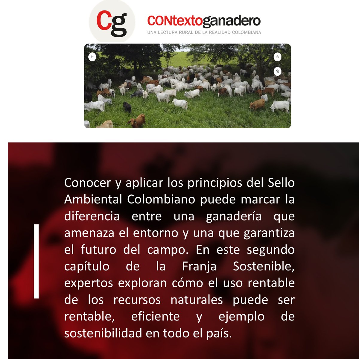 La Primavera Pasion Ganadera tweet media