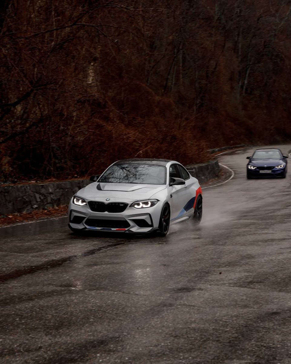 snowfall tweet media