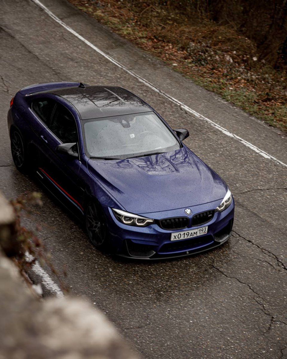 snowfall tweet media