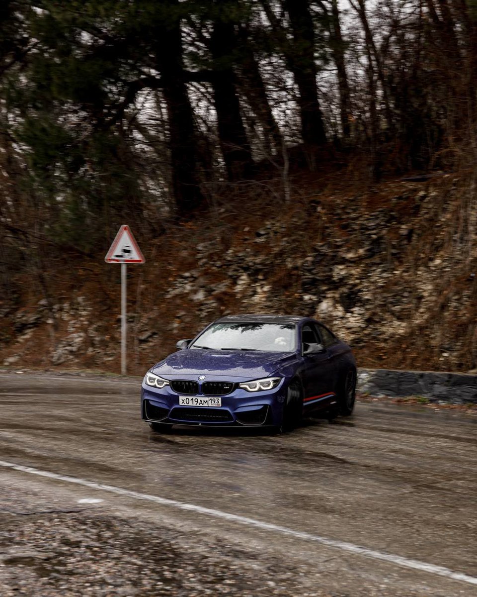 snowfall tweet media