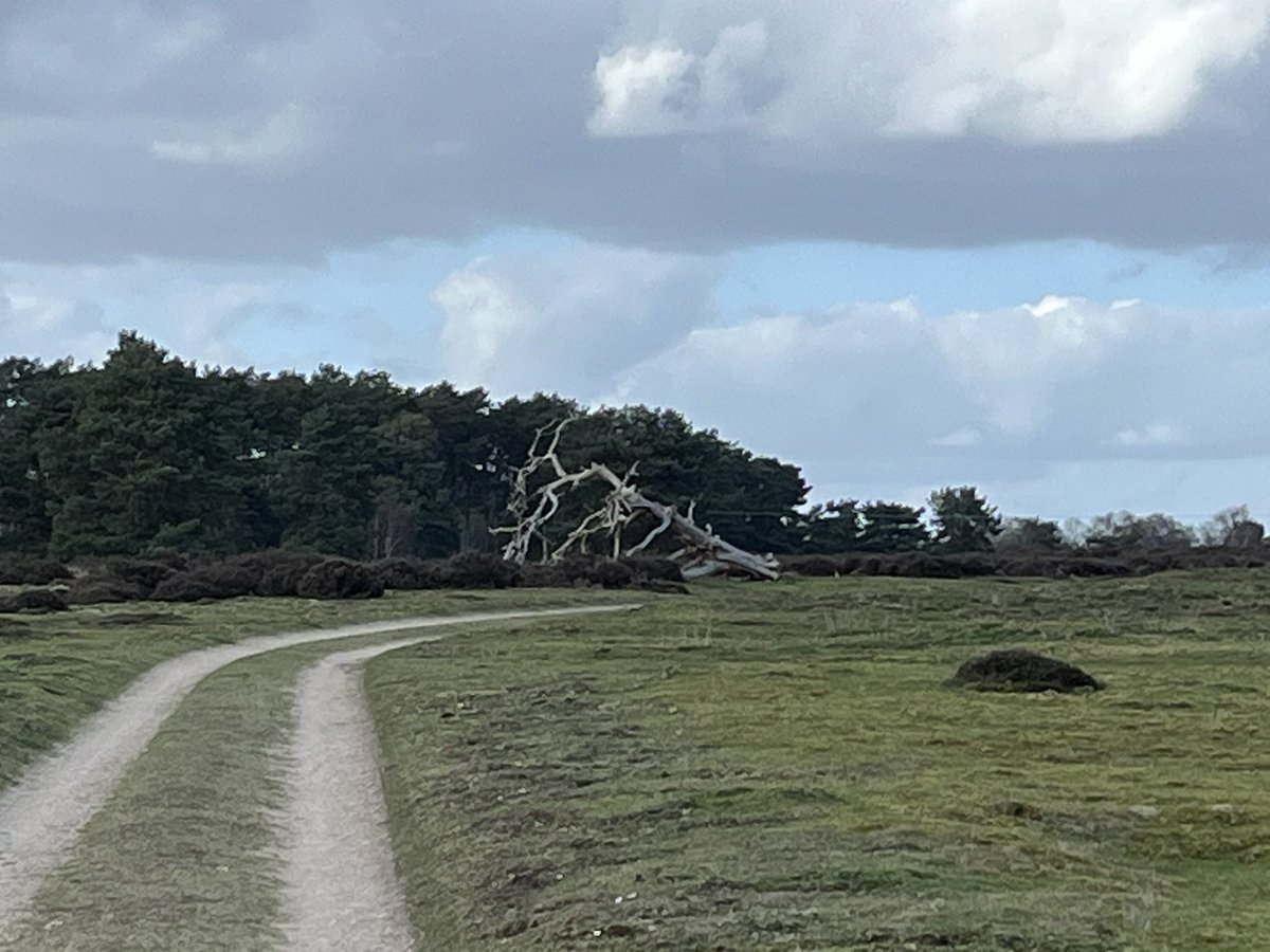 Andrew C Sims tweet media