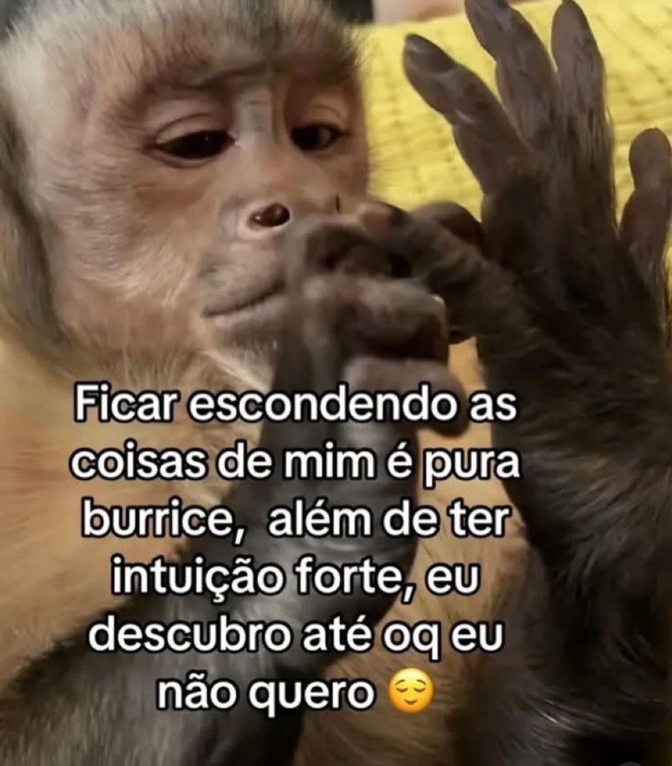 lembranças tweet media